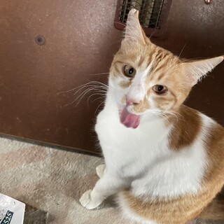 大人しくて心優しい男の子