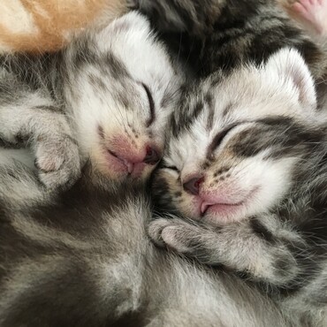 LOVE❤️Babys