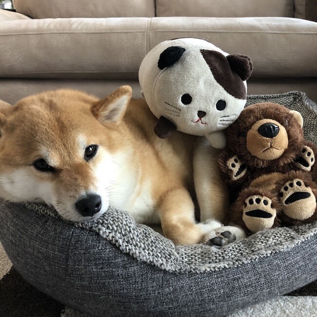 舞ママmameのカバー写真