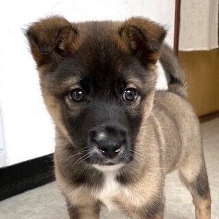 可愛くて可愛くて目尻下がりっぱなしになります！