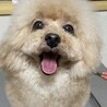 募集停止中！ サムネイル2