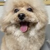 募集停止中！ サムネイル3