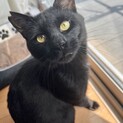 存在感たっぷり！豪胆ツキノワグマ男子♡