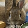 の写真