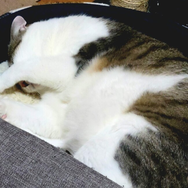 歌川あまののカバー写真