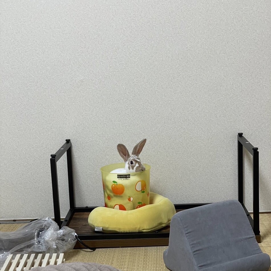 ちくわのカバー写真