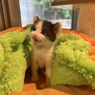 ほんわか♡可愛い男の子（交渉中）