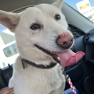 生涯責任持って飼っていただきたいです。