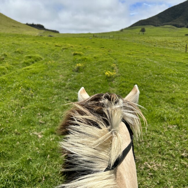 Buttonのカバー写真