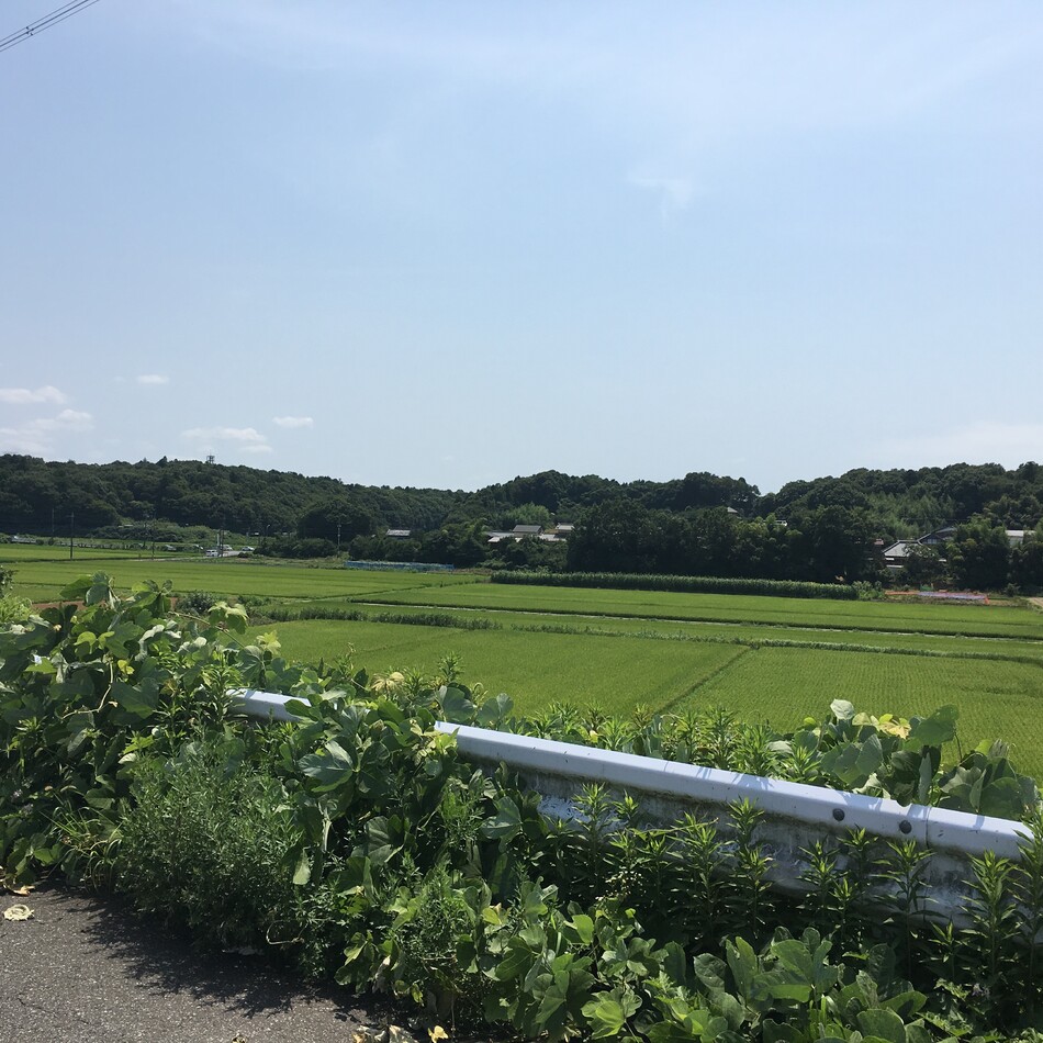 バトンのカバー写真