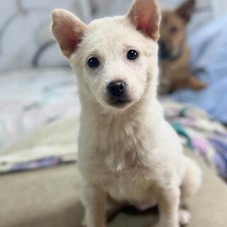 リビちゃん❤️