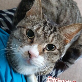 甘えん坊ぶんちゃん