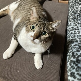 甘えん坊♡《あやめママ》