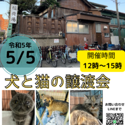 犬と猫の譲渡会5/5