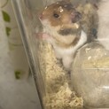子供ができました。
