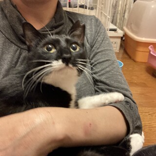 穏やかでお茶目なシュリちゃん♡