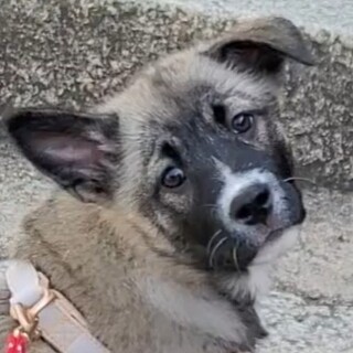 マイペース⭐ランちゃん♥️♀️