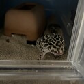 里親さんが決まりました。