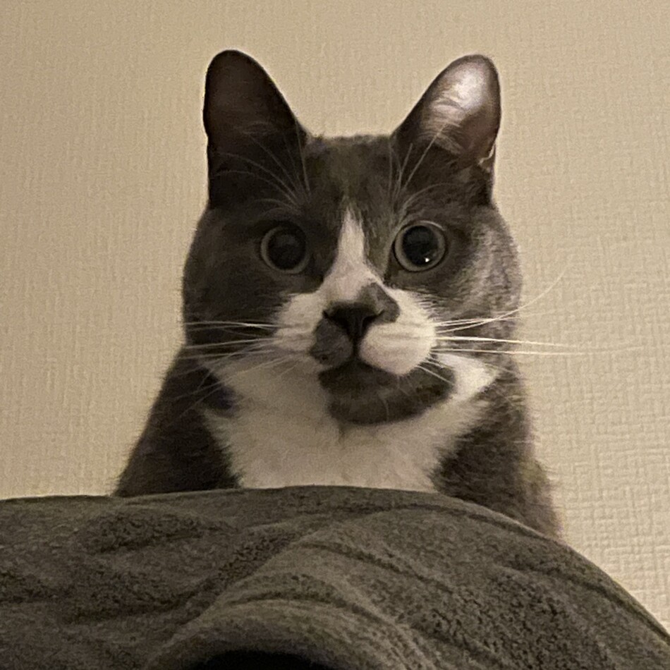 ビビのカバー写真
