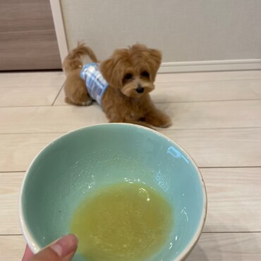 大好きなボーンブロススープ