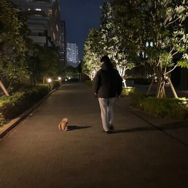 夜のお散歩も大好き