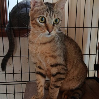 〝ちゃちゃ君〟です♪