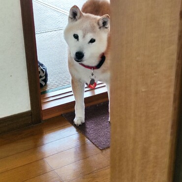 雷さん＾＾落ち着いたんだね♪よかったε-(´∀｀*)ﾎｯみんな(ΦωΦ)も安心だね♪