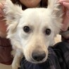 怖いこといっぱい頑張る可愛い女の子まき サムネイル2