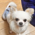 虐待を受けたこの子に幸せを