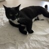 ビビだよ〜|(￣3￣)| 
