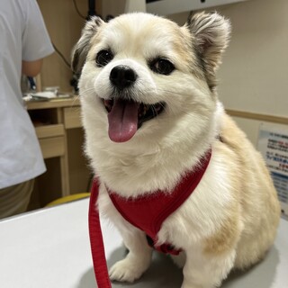 お問合せがあり一旦停止中です。