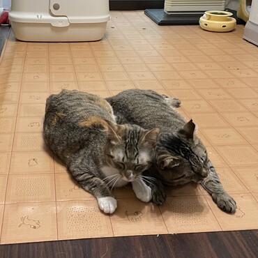 超仲良し♡ラズちゃんandケイちゃん