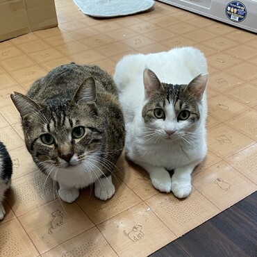 こちらも仲良し♡くっきーandミルク