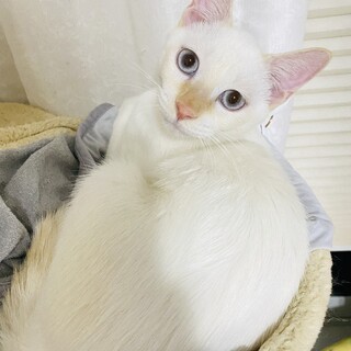 マッチョで優しい来来☆