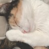 かわたさん