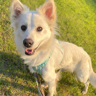 いつも元気で遊び好きな女の子はく