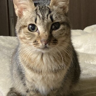 とっても人懐っこいベル♀