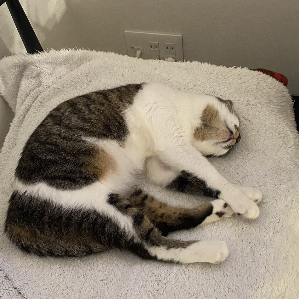 いっちのカバー写真