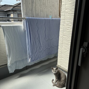 の写真