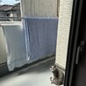 の写真