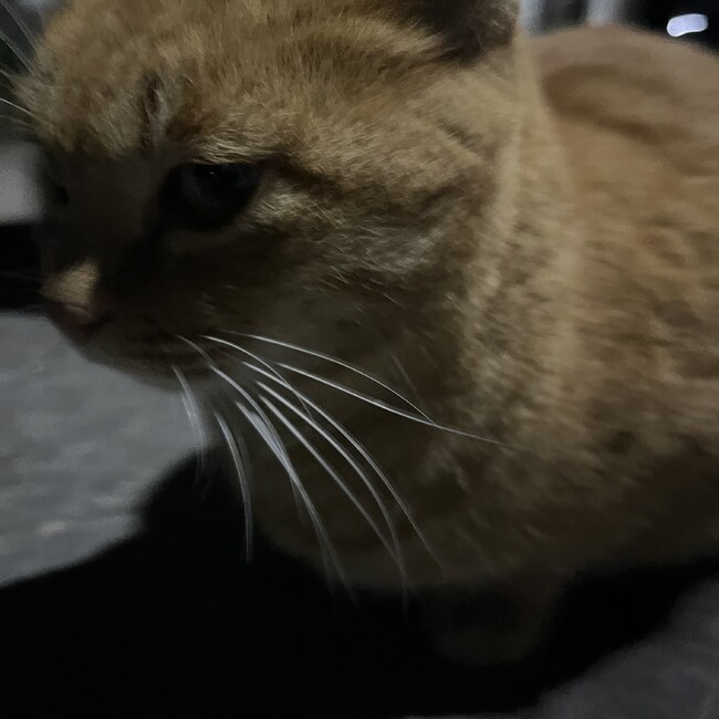 koutarou96のカバー写真