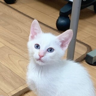 5/14高田馬場★つぶくん★パワフルな元気っ子！