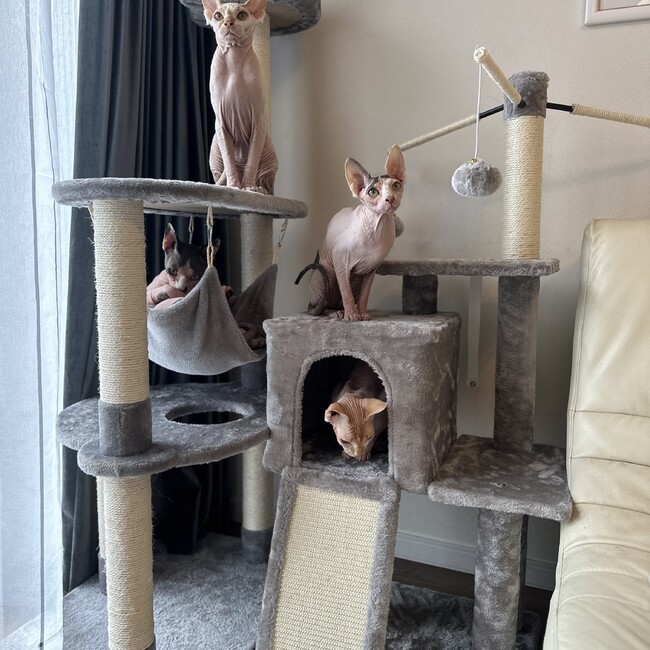 RISA...のカバー写真