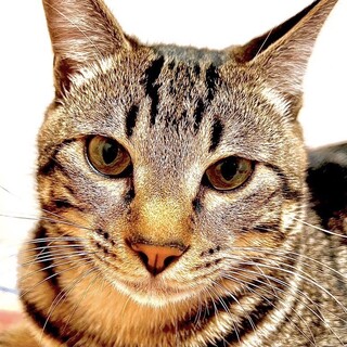 人懐っこくて、愛嬌いっぱいのライくん。