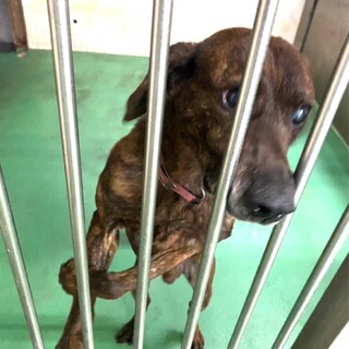 ありがとうございました！