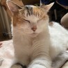 しみこみ