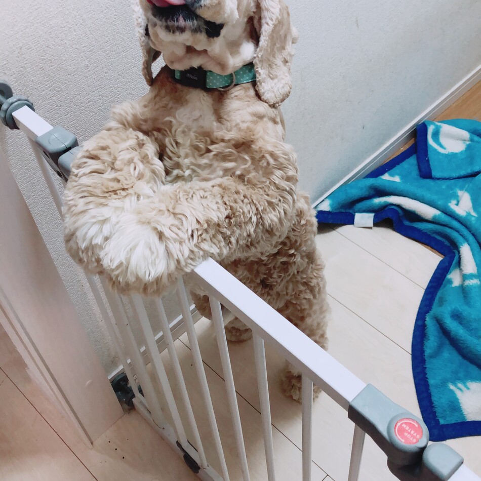 れおんのカバー写真