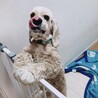 の写真