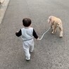 とても懐っこいわんちゃんです サムネイル4