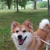 の写真